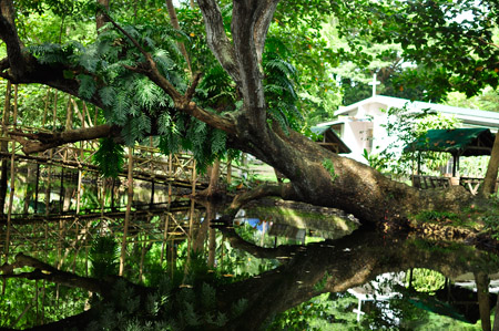 Paraiso Beach Resort Sariaya Quezon
